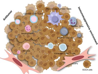 An overview of extrahepatic cholangiocarcinoma: from here to where?